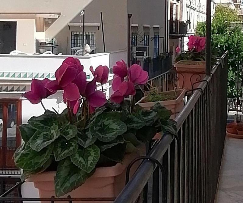 Calimero Luxury Suite باليرمو المظهر الخارجي الصورة